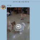 포포앤미루 강동점 이미지