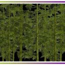 세탁하다 이미지