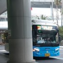 316모터스