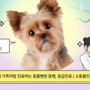 도곡동행동물병원 이미지