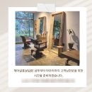헤어살롱1021 이미지