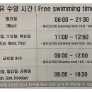 에프스포렉스 이미지