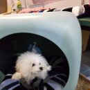 (주)아랑지 이미지