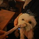 전포 느좋 칵테일바 조우, 토요일 밤 데이트 코스로도 혼술로도 좋은 전포 위스키바 (낮술 가능)