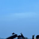 카스텔라 디테일링 | 석준스.. 차 뽑다