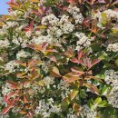 산울펜션 이미지