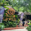 멍키즈 | 푸켓 쓰리몽키즈 예약없이 간 후기, 음료 가격 위치