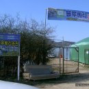 포항블루베리농원 이미지