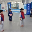 경희대 SJC 태권도장 이미지