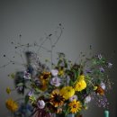 디자인모니크 이미지