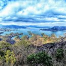 게으른 악어 이미지