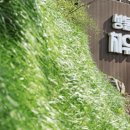 성불산자연휴양림 이미지