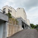 펫타운 | 용인 죽전 타운하우스, 펫프랜들리 주택 펫빌라 상담 후기
