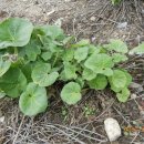 동두천역 이미지