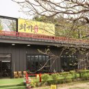 속초 중앙시장 맛집 기대이상의 최가 속초 김밥 맛집