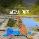 신산3리 | 경기 계곡 추천 파주 보광사 애견동반 물놀이