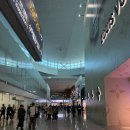 737 | [12월~1월 대만여행] 진에어 LJ737 인천-타이중 탑승후기