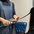 엘림 | 제주 서귀포 마사지 천지연폭포 근처 엘림아로마 커플마사지 후기