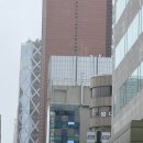 난임 시험관준비 장석근서울한의원 방문 후기 경주대추밭실패