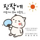 미래인쇄사 - 천안시 서북구 | 미래인쇄사