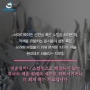 하얀치과클리닉 네이버블로그