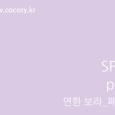 코코리색채연구소 이미지
