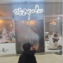 삼층고양이 카페 | 아이가 엄청 좋아하는 "삼층고양이 카페" 재방문 후기