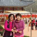 12월의 왈츠 이미지