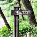솔바람GO헤어 | 패밀리어 미용실이 추천하는 아이롱펌, 청주 우암산 산당산성 산행길에 빛나다.