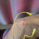 동빈한의원 이미지