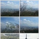 시티카아트 이미지