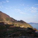 남해어시장 이미지