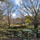 초록과 함께하는 힐링타임 이미지