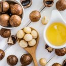 오일랜드 이미지