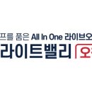 (주)애드밸리