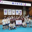 금명초교 부산일보