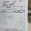 경진카써비스 | 사람의 슬개골 탈구 수술 후기(MPFL재건술, 외측지대유리술)