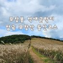 암곡 | 경주 무장산 트레킹 암곡 억새군락지 등산코스 버스 주차 이용방법