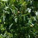 똘배농장 이미지