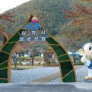 미로농장 이미지