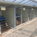 팅커벨하우스 이미지