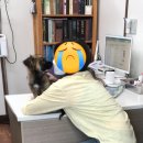 AK동물병원