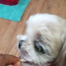 광주통닭 이미지