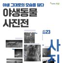야생그대로