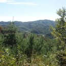 갈퀴봉(389m) 깃대봉(362m△춘천466) 시치미산(383m) 솟대봉(340m)새술산(437m) 풀무봉(425m)/강원 춘천 이미지