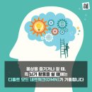 멍머리 Daum카페