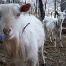 비슬 승마체험장 이미지