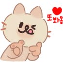 해남김안과의원 이미지