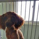 무지개교회 앞 이미지