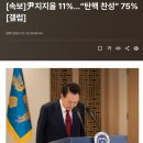 속보]尹지지율 11%…“탄핵 찬성” 75%[갤럽] 이미지